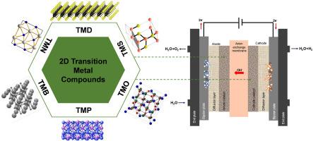 Nanostructured transition metal-based electrocatalysts: A promising pathway in anion exchange membrane water electrolysis
