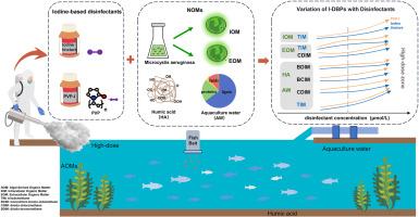 Formation of iodinated disinfection by-products from high-dose disinfection with two types of iodine disinfectant in aquaculture