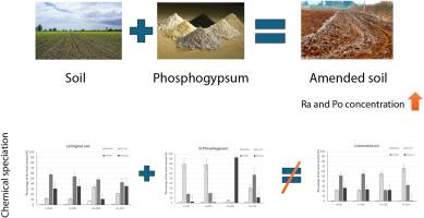 Assessment of the radiological environmental impact of using phosphogypsum as soil amendment: soil availability modification and radiological impact evaluation