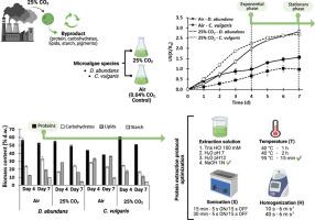 Modulation of biomass composition by CO2 in two highly productive green microalgae as a sustainable system for byproduct generation