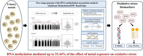 DNA methylation signature of oxidative stress and its mediating role in response to metal exposure