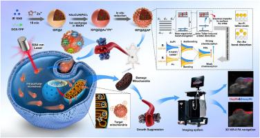 Jahn-Teller distortion-engineered self-propelled nanorobots for mitochondrial targeting and bioenergetic disruption in tumor therapy