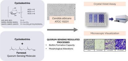 Cyclodextrins in action: Modulating candida albicans biofilm formation and morphology
