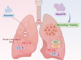 Hesperidin-β-Cyclodextrin inclusion complexes: A novel approach for preventing and treating acute lung injury caused by seawater drowning