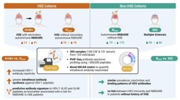 Specific viral antibodies associate with anti-NMDAR encephalitis after herpes simplex encephalitis