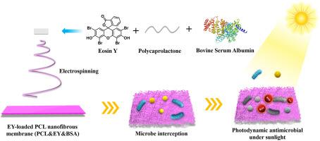 Synergistic improvement of hydrophilicity and antibacterial performance of Eosin Y-loaded photodynamic nanofibrous membranes with bovine serum albumin