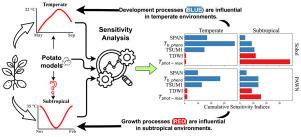Time-dependent sensitivity analysis of WOFOST-Potato for temperate and subtropical environments