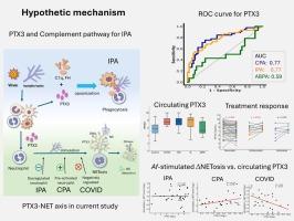 Monitoring treatment response using serial PTX3 levels in chronic and invasive pulmonary aspergillosis