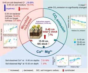 Subsurface organic ameliorant is beneficial in reducing inorganic carbon loss and improving carbon sequestration in saline soils