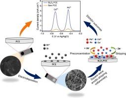 Highly sensitive and selective detection of Cd2+ and Pb2+ in aqueous system using miniaturized Bi2O3/plastic chip electrode based electrochemical sensor