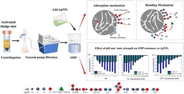 Resistance mechanism of soluble microbial products to silver nanoparticles in activated sludge: adsorption, bonding and influencing factors