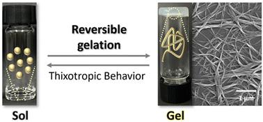 Thermodynamic and mechanical properties of supramolecular gel based on bisterpyridine ligand formed via a cooperative model