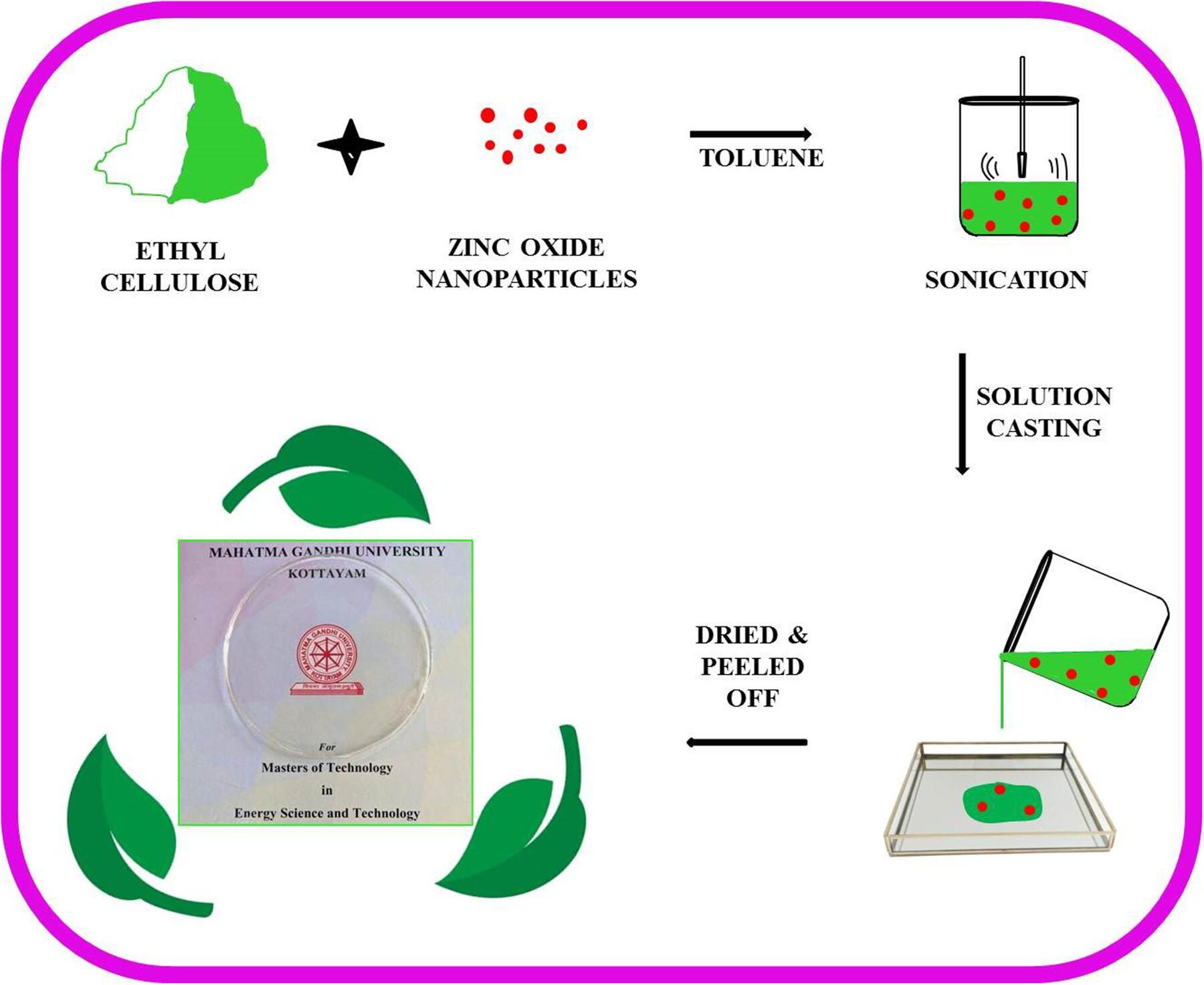 Innovative Development and Functional Capabilities of Ethylcellulose-ZnO Transparent Films as the Next Generation of Active Packaging Materials