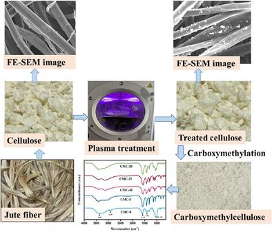 Plasma Modification of Jute Cellulose for Enhanced Carboxymethylation Reaction