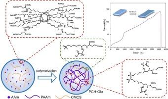 Preparation of silsesquioxane/polyacrylamide/carboxymethyl chitosan hydrogel with ultra-stretchable properties for advanced flexible sensing applications