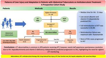 Patterns of Liver Injury and Adaptation in Patients With Abdominal Tuberculosis on Antituberculosis Treatment: A Prospective Cohort Study