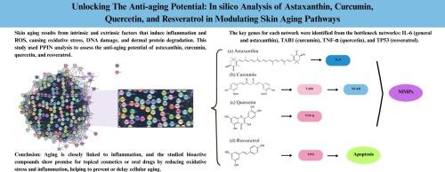 Unlocking the anti-aging potential: In silico analysis of astaxanthin, curcumin, quercetin, and resveratrol in modulating skin aging pathways