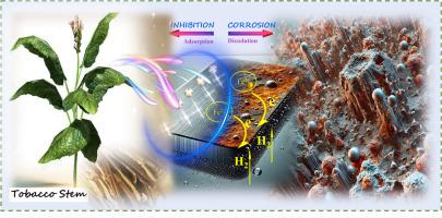 Green corrosion inhibition: Tobacco stem extract and KI on steel in H₃PO₄ – experimental, modeling, and theoretical insights