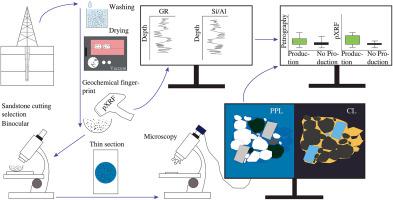 Reservoir characterization and well production proxy analyses on drill cuttings: Case study from the Flysch play in the Vienna Basin (NE Austria)