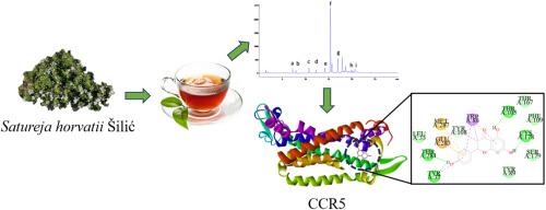 Biochemical profiling of Satureja horvatii Šilić, Lamiaceae extracts: Experimental and molecular docking aspects
