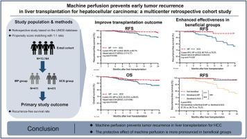 Machine perfusion prevents early tumor recurrence in liver transplantation for hepatocellular carcinoma: a multicenter retrospective cohort study