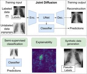 JointDiffusion: Joint representation learning for generative, predictive, and self-explainable AI in healthcare