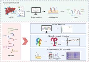 Immunoinformatics design and experimental expression of a multi-epitope vaccine simultaneously targeting AAV2 and HAdV-F41 against acute hepatitis of unknown etiology