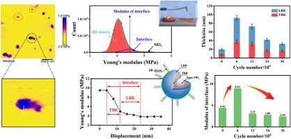 Non-steady-state electrical properties in dielectric elastomer nanocomposites during cyclic stretching and the underlying mechanism