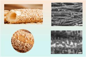 Synthesis of Ni-diamond hybrid reinforced carbon fiber/epoxy thermally conductive composites with "Rod-on-particle microstructure" via composite electrodeposition