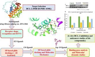 Employing a drug repurposing strategy to identify B-cell lymphoma-2 (BCL-2) inhibitors with anticancer potential: An in silico and in vitro based study