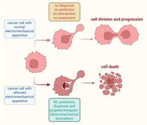 Exploring the mechanical and electrical properties of cancer cells for improved diagnosis and treatment