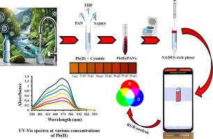 Ultrasound-assisted DLLME with natural deep eutectic solvent and smartphone-based colorimetry for Pb(II) detection in water