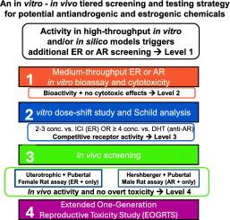 In vitro confirmation of estrogenic and antiandrogenic pesticide bioactivity using schild regression analysis