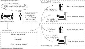 Blood urea nitrogen-guided protein dosage adjustment helps reduce azotemia and functional prognosis deterioration induced by high protein intake in neurocritical patients: A retrospective cohort study