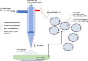 Novel electrosprayed core-shell polyethyleneimine and phospholipid coated MSNs for Co-delivery of KAZ3 and MDR-1 siRNA for efficient chemotherapy in multidrug-resistant colon cancer