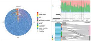 Machine learning uncovers provenance of source rocks for volcano-sedimentary lithium mineralization in South China