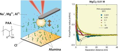 Evaluating the effects of electrolytes on the interaction forces between alumina surfaces in polyacrylic acid solutions using atomic force microscopy