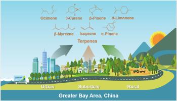 Mobile monitoring of atmospheric terpene dynamics across the subtropical megacities Greater Bay Area