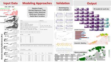 Prediction of harmful algal blooms in the Persian Gulf using remote sensing and artificial intelligence modeling