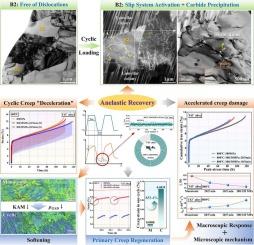 Experimental investigation on anelasticity-controlled cyclic creep behavior in multiscale hybrid-reinforced TiAl alloys