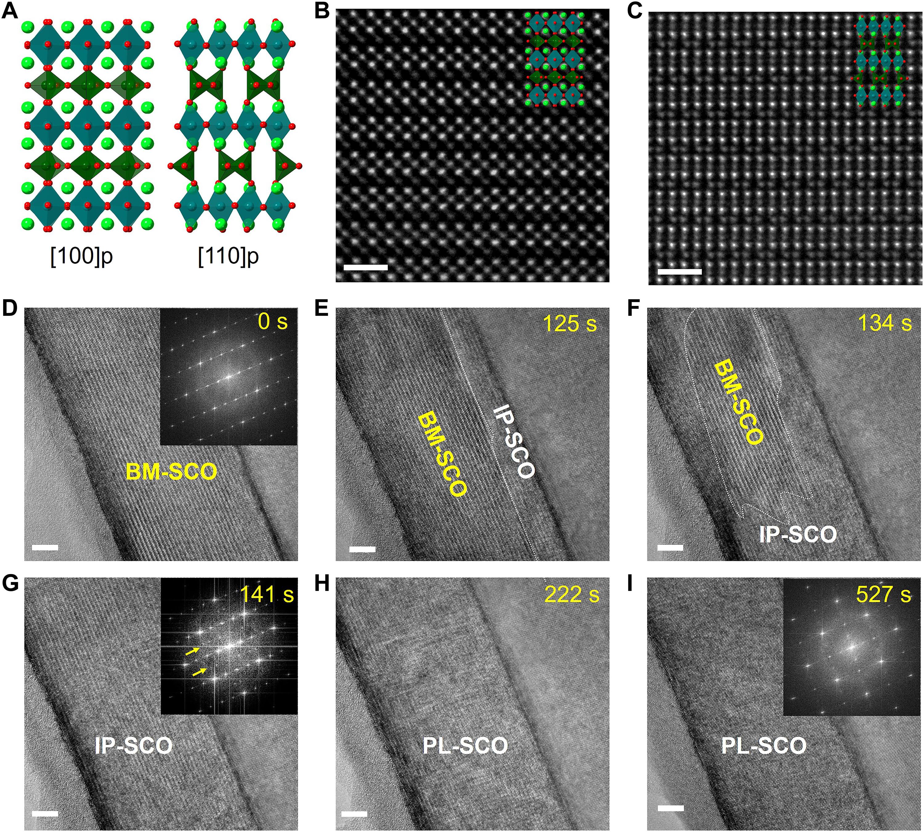 In situ atomic-resolution imaging of water vapor–driven multistep oxidation dynamics in strontium cobaltite