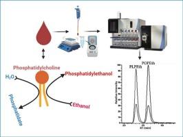 An improved and economical LLE-LC/MS method for quantifying phosphatidylethanol: Identification and separation of isotopic cross-talk in clinical alcohol testing