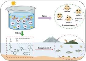 Comparative study on degradation of PVC microplastics under four processes: mechanism, pathway and toxicological assessment