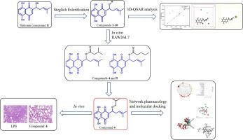 Design, synthesis and anti-pneumonic activity evaluation of shikonin ester derivatives