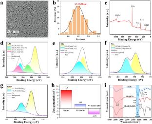 Nucleus delivery of doxorubicin by gadolinium-functionalized carbon dot drug delivery system for HCC imaging and therapy