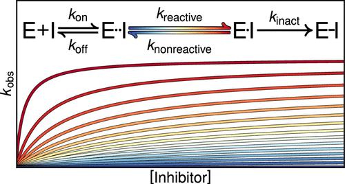 Kinetic Modeling of Covalent Inhibition: Effects of Rapidly Fluctuating Intermediate States