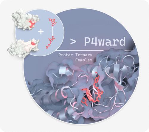 P4ward: An Automated Modeling Platform for Protac Ternary Complexes