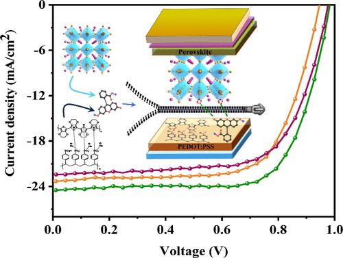 Double-Function Lewis-Base-Additive-Mediated Interfacial Configuration and Defect Mitigation in Perovskite Solar Cells