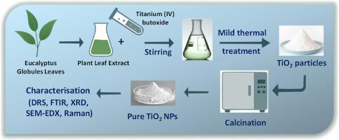Green synthesis and characterization of titanium dioxide nanoparticles using Eucalyptus globulus leaf extract: Impacts of the mild thermal treatment