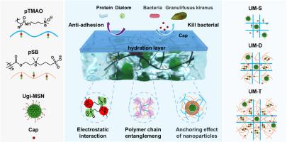 Mesoporous silica reinforced triple-network poly-zwitterionic hydrogel with high-strength and excellent anti-fouling performance